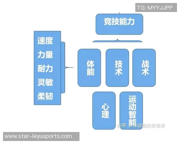 运动数据科学羽毛球耐力训练全攻略提升你的竞技水平与体能素质